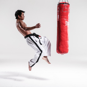 Male taekwondo 11 — figure reference